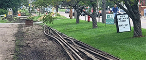 Removal of the existing abandoned railroad tracks along the west side of Pine Street in preparation for the installation of the new shared use path between Lakeside Avenue and Kilburn Street.